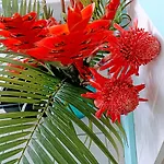 La Canopée Enchantée